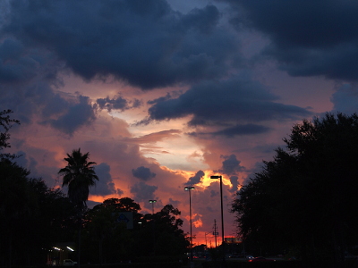[The sky is nearly full of clouds and the ones closest to the horizon are red-orange. There is an irregular-shaped opening above the light poles which is light blue and there is some light from the sun which created yellow-topped clouds. Most of the rest of the clouds in the sky range from blue-gray to light purple. The palm trees and bushes in the foreground are outlines of dark color. The lights on the poles are lit providing white ovals against the purple clouds.]